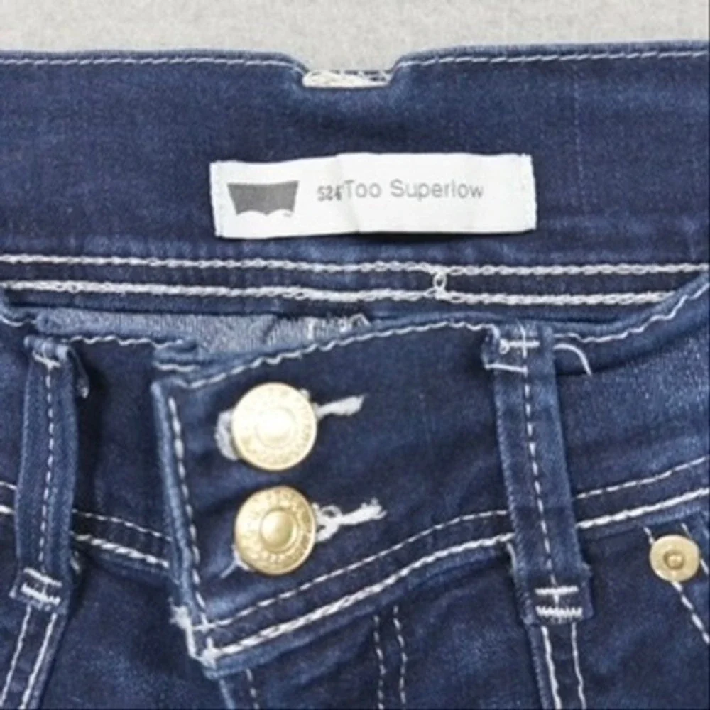 Levis levis 524